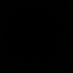 Meet your Posher, Zorey